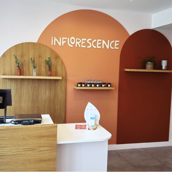 Collaboration avec Harmonie Habitat Déco : Aménagement du magasin Inflorescence – Willems