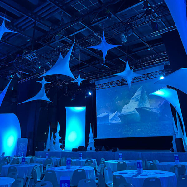 Séminaire d’entreprise – Univers ciel étoilé